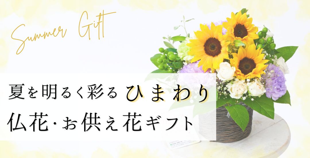 グラデーション胡蝶蘭 新商品ラインナップ